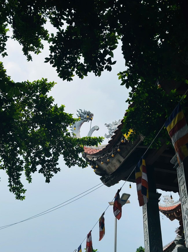 Offering to the rain-retreat schools in Thanh Hoa and Hoang Phap pagoda of Dong Cao Pagoda
