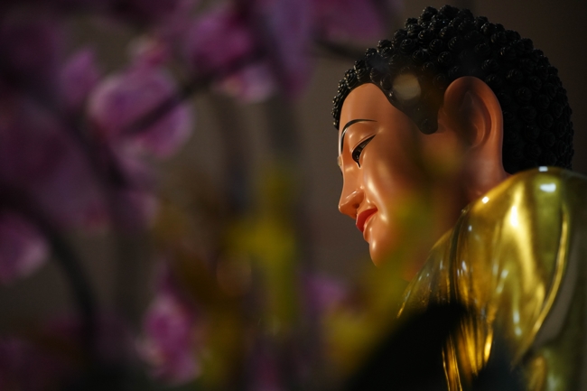 Lễ Quy y Tam Bảo – Lần 2/2025