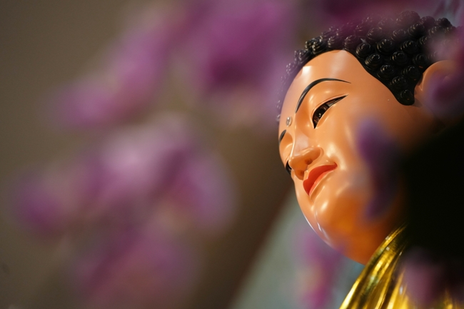 Lễ Quy y Tam Bảo – Lần 2/2025