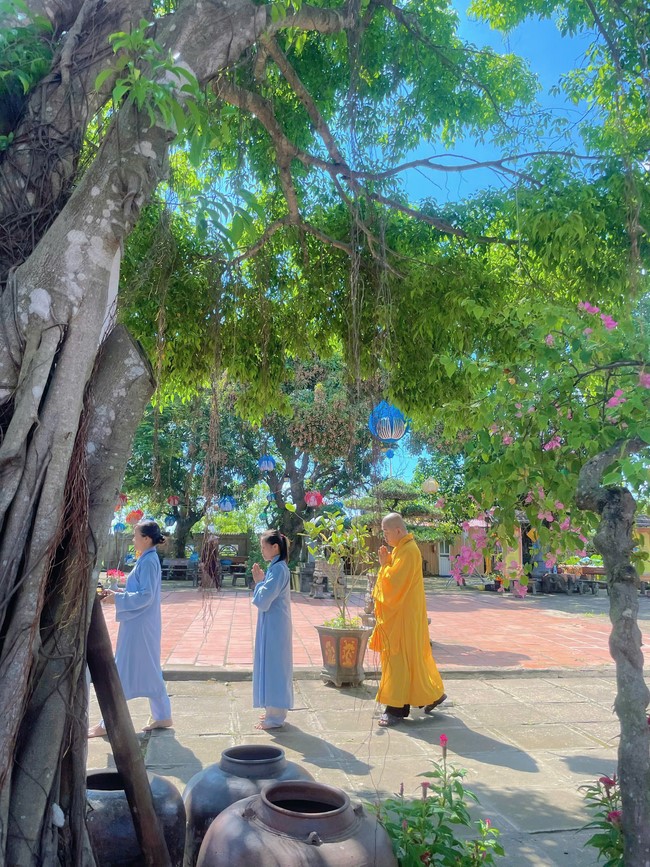 Chùa Đống Cao – Thanh Hoá: Khoá tu niệm Phật một ngày