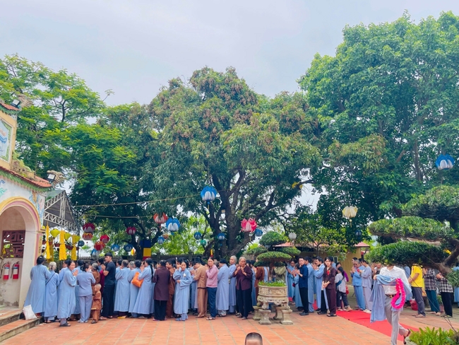 Chùa Đống Cao – Thanh Hóa: Đại Lễ Vu Lan 2025