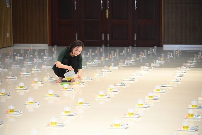 The meditation–tea night tranquility day