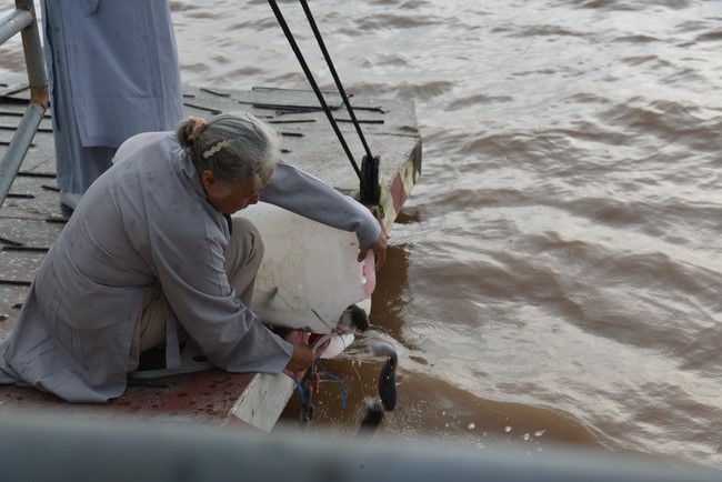 One-Day Retreat at Minh Chat ashram in Can Tho