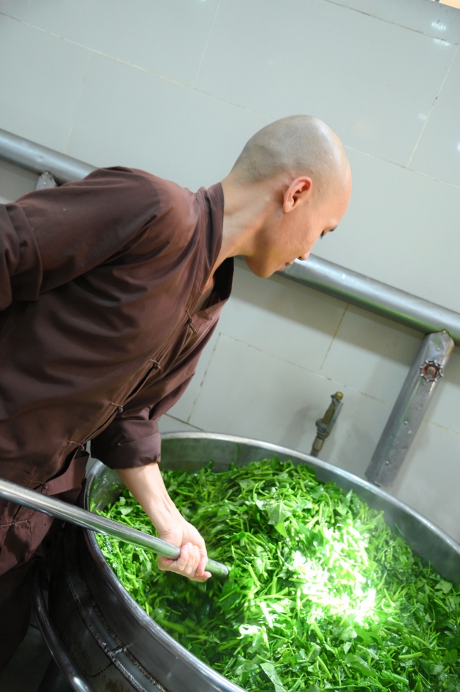 Dharma Talk “Who is the culprit?” preached by Most Thich Giac Dang – The 106th Seven-Day Retreat