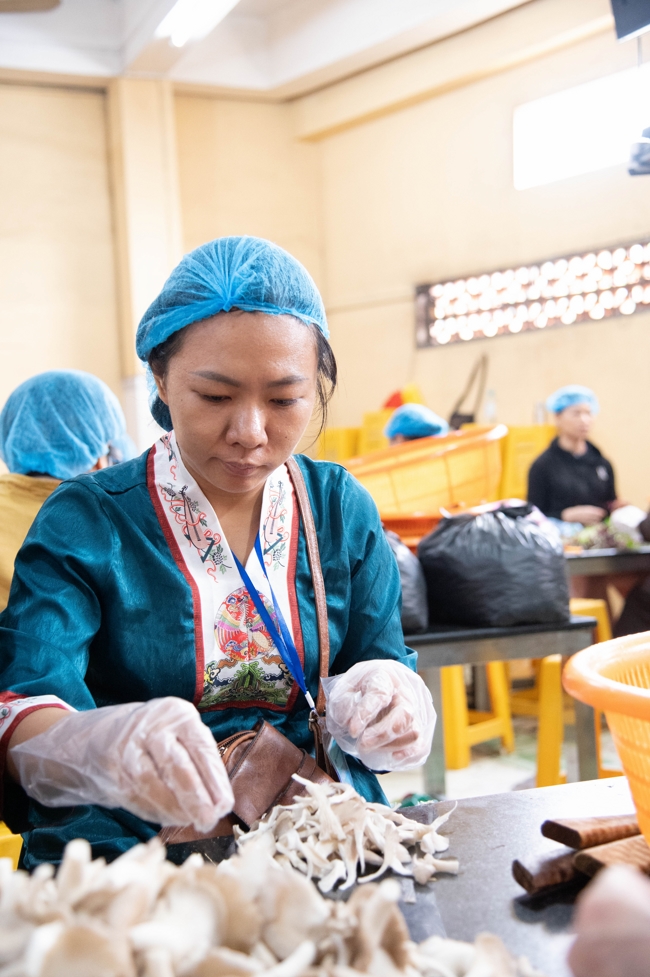 Dharma talk All sorrows disappearing thanks to the Buddha name recitations - Senior Thich Tri Hue in the 106th Seven-day Retreat
