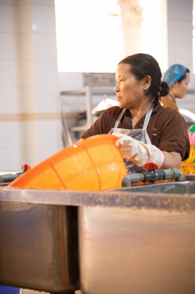 Dharma talk All sorrows disappearing thanks to the Buddha name recitations - Senior Thich Tri Hue in the 106th Seven-day Retreat