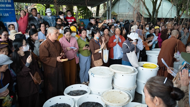 Phóng sinh tại bến phà Bình Mỹ