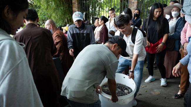 Phóng sinh tại bến phà Bình Mỹ