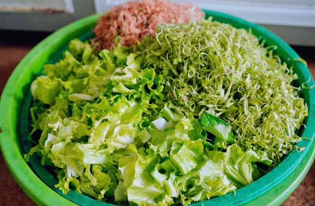The Great Ullambana Ceremony 2025 at Bao Quang Pagoda, Dong Nai