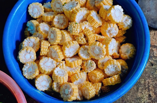 The Great Ullambana Ceremony 2025 at Bao Quang Pagoda, Dong Nai
