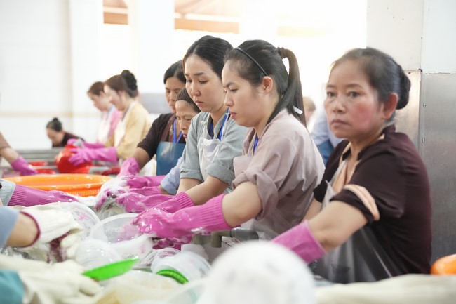 Dharma Talk One word of grace, one blessing thing by Nun Thich Nu Tâm Tâm – The 106th Seven-Day Retreat