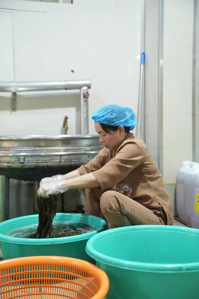 Dharma Talk One word of grace, one blessing thing by Nun Thich Nu Tâm Tâm – The 106th Seven-Day Retreat