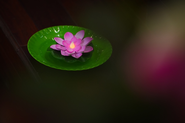 BUỔI TOẠ ĐÀM “THƯƠNG NHỮNG ĐÓA HOA ĐỜI” TRƯỚC THỀM KHÓA TU “SINH VIÊN HƯỚNG VỀ PHẬT PHÁP”.