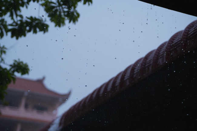 Gia đình Phật tử Liên Huệ, Liên Hương, Liên Thúy, Liên Vy phát tâm cúng dường 700 chai sữa chua và 700 hộp đậu hũ non Singapore đến Học viện Phật giáo Việt Nam tại TP. Hồ Chí Minh (cơ sở 2, xã Bình Lợi) và chùa Thanh Tâm.