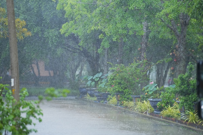 Gia đình Phật tử Liên Huệ, Liên Hương, Liên Thúy, Liên Vy phát tâm cúng dường 700 chai sữa chua và 700 hộp đậu hũ non Singapore đến Học viện Phật giáo Việt Nam tại TP. Hồ Chí Minh (cơ sở 2, xã Bình Lợi) và chùa Thanh Tâm.