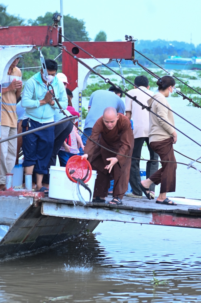 PHÓNG SINH TẠI BẾN PHÀ BÌNH MỸ.