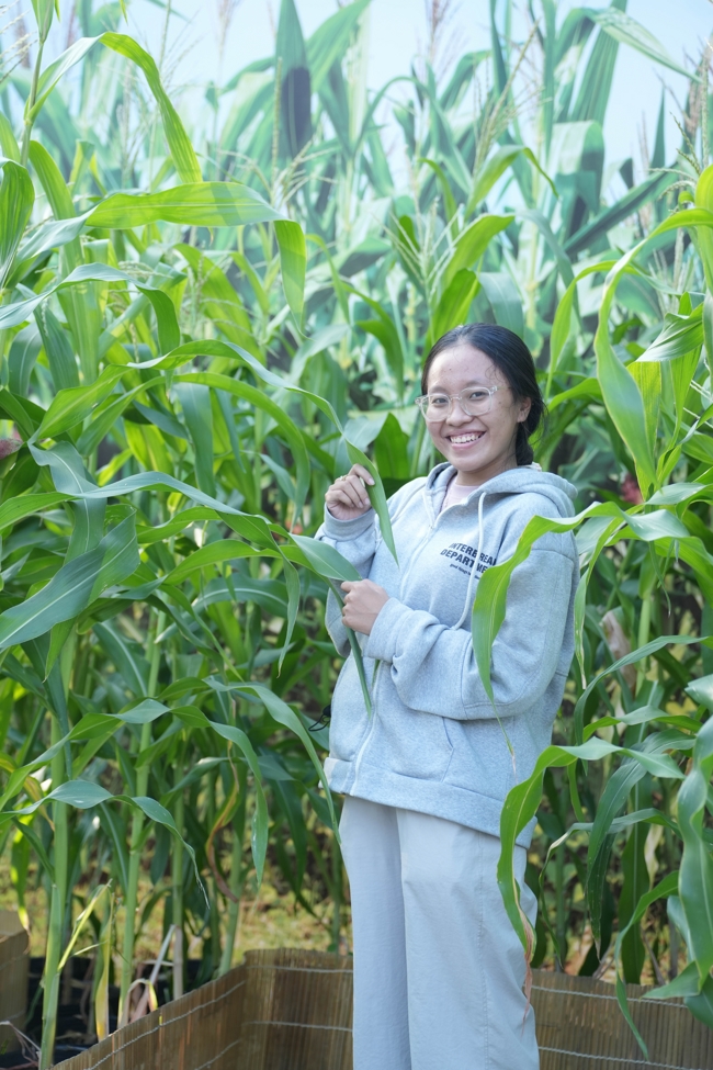 Công tác chuẩn bị đón Xuân Bính Ngọ 2026 (Phần 3)