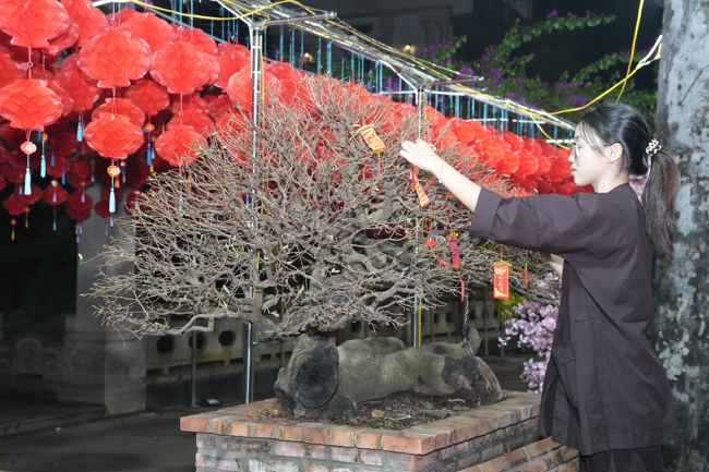 Công tác chuẩn bị đón Xuân Bính Ngọ 2026 (Phần 3)