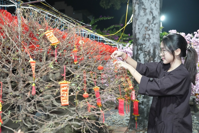 Công tác chuẩn bị đón Xuân Bính Ngọ 2026 (Phần 3)