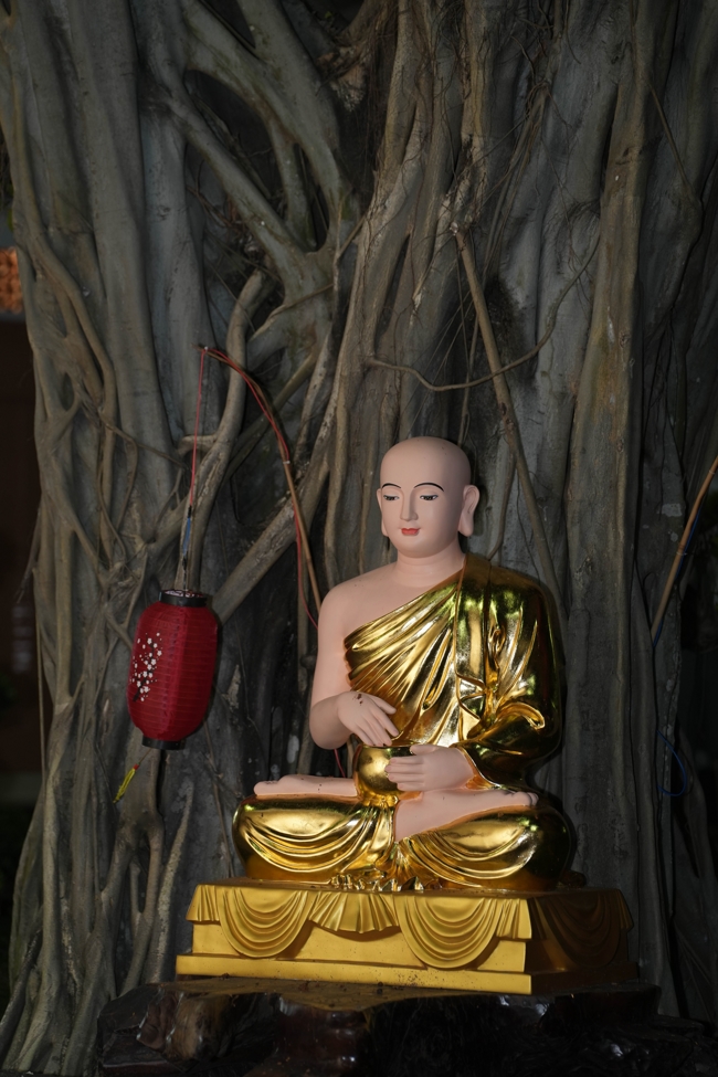 Công tác chuẩn bị đón Xuân Bính Ngọ 2026 (Phần 3)