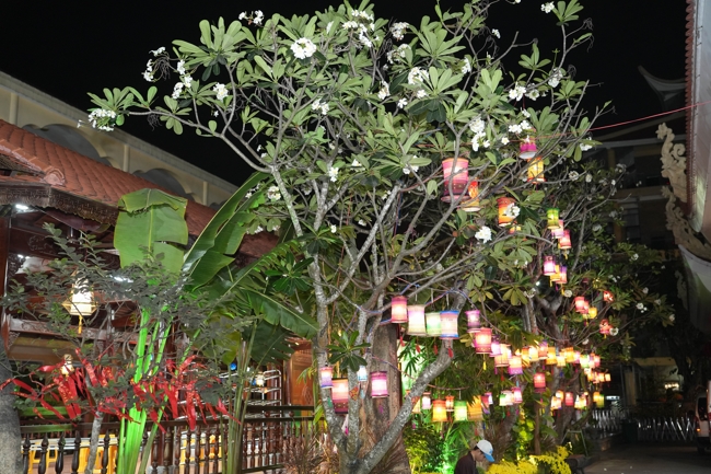 Công tác chuẩn bị đón Xuân Bính Ngọ 2026 (Phần 3)