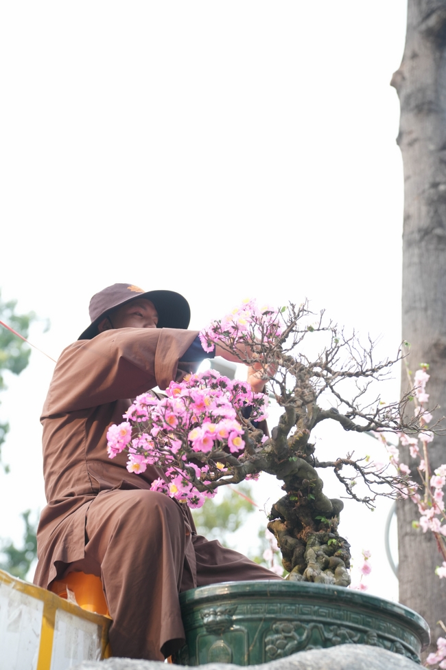 Công tác chuẩn bị đón Xuân Bính Ngọ 2026 (Phần 3)