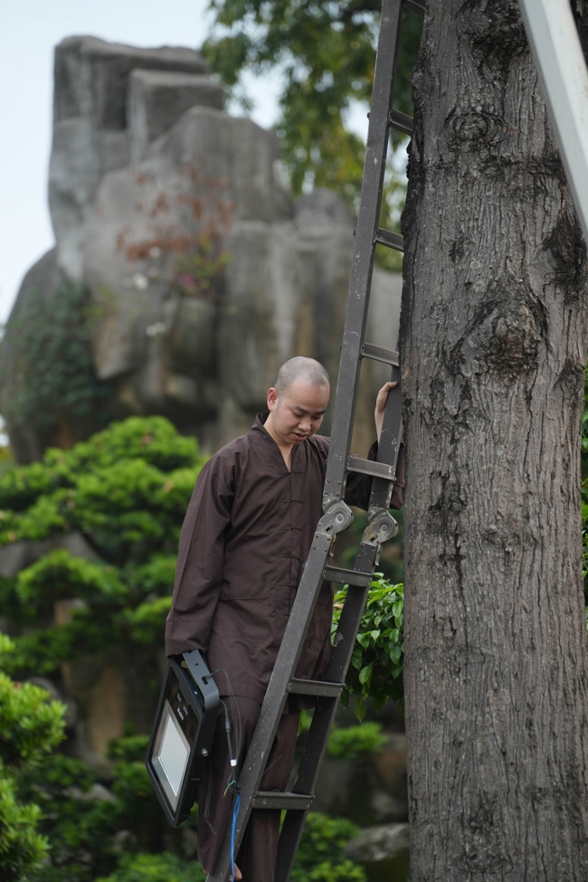 Công tác chuẩn bị đón Xuân Bính Ngọ 2026 (Phần 3)