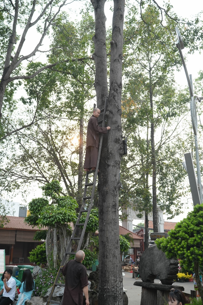 Công tác chuẩn bị đón Xuân Bính Ngọ 2026 (Phần 3)