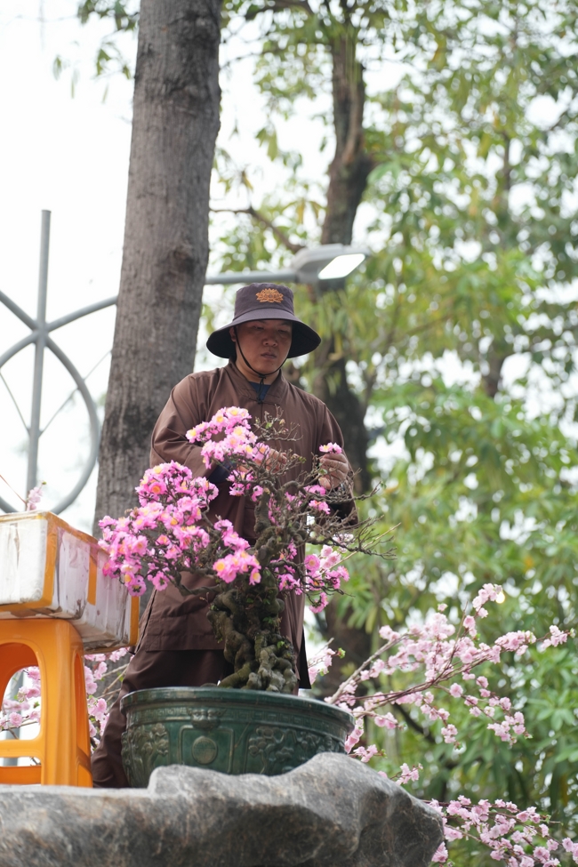 Công tác chuẩn bị đón Xuân Bính Ngọ 2026 (Phần 3)