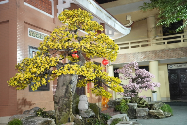 Công tác chuẩn bị đón Xuân Bính Ngọ 2026 (Phần 3)