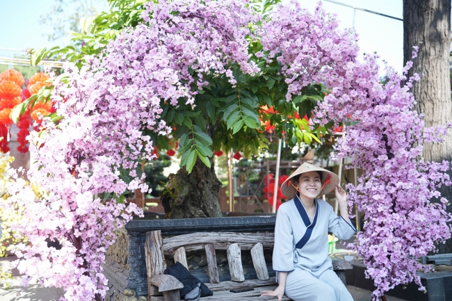 Công tác chuẩn bị đón Xuân Bính Ngọ 2026 (Phần 3)