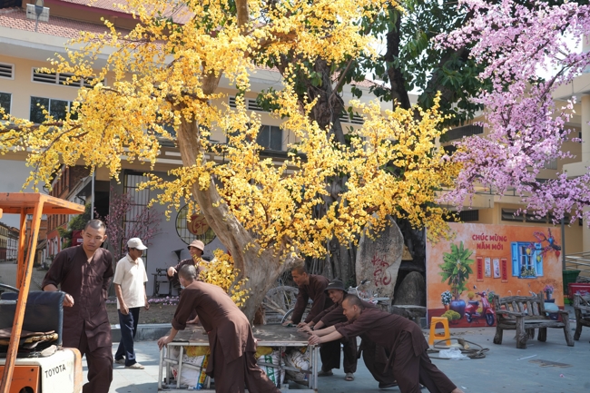 Công tác chuẩn bị đón Xuân Bính Ngọ 2026 (Phần 3)