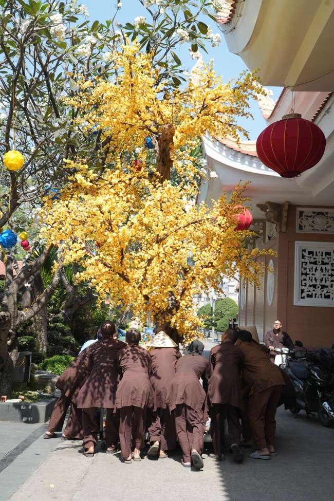 Công tác chuẩn bị đón Xuân Bính Ngọ 2026 (Phần 3)