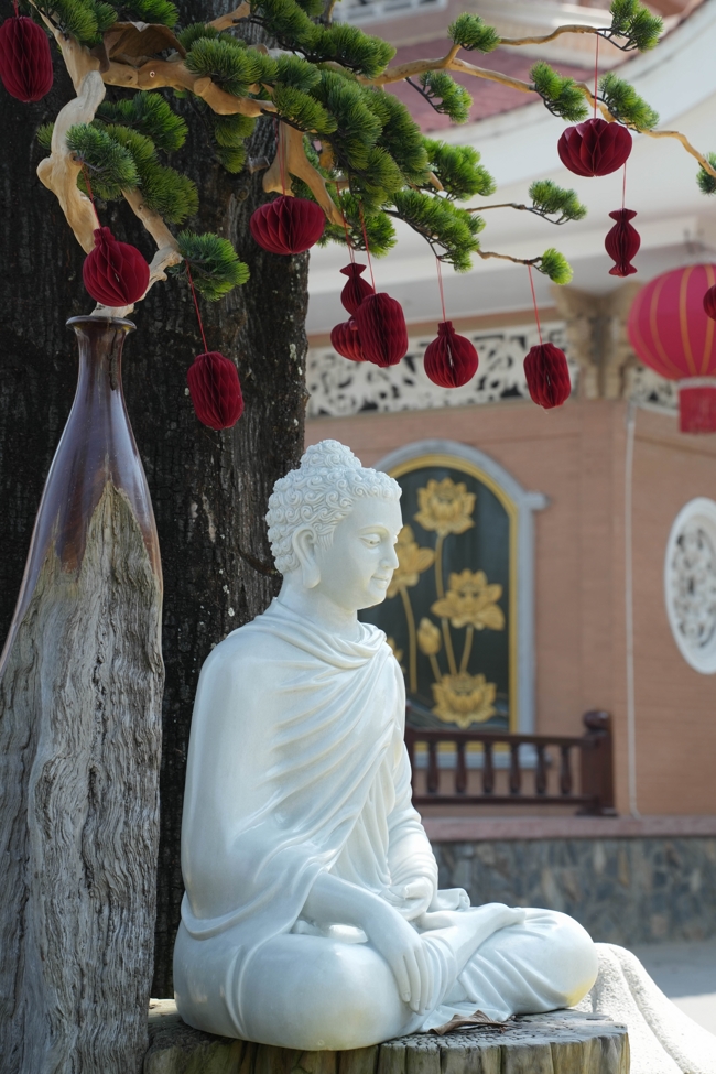 Công tác chuẩn bị đón Xuân Bính Ngọ 2026 (Phần 3)