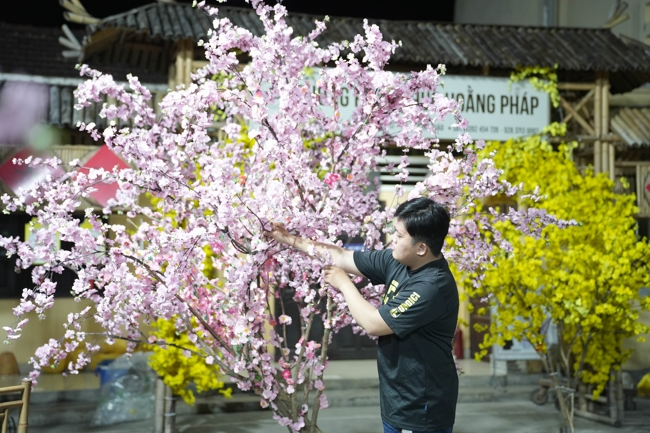 Công tác chuẩn bị đón Xuân Bính Ngọ 2026 (Phần 3)