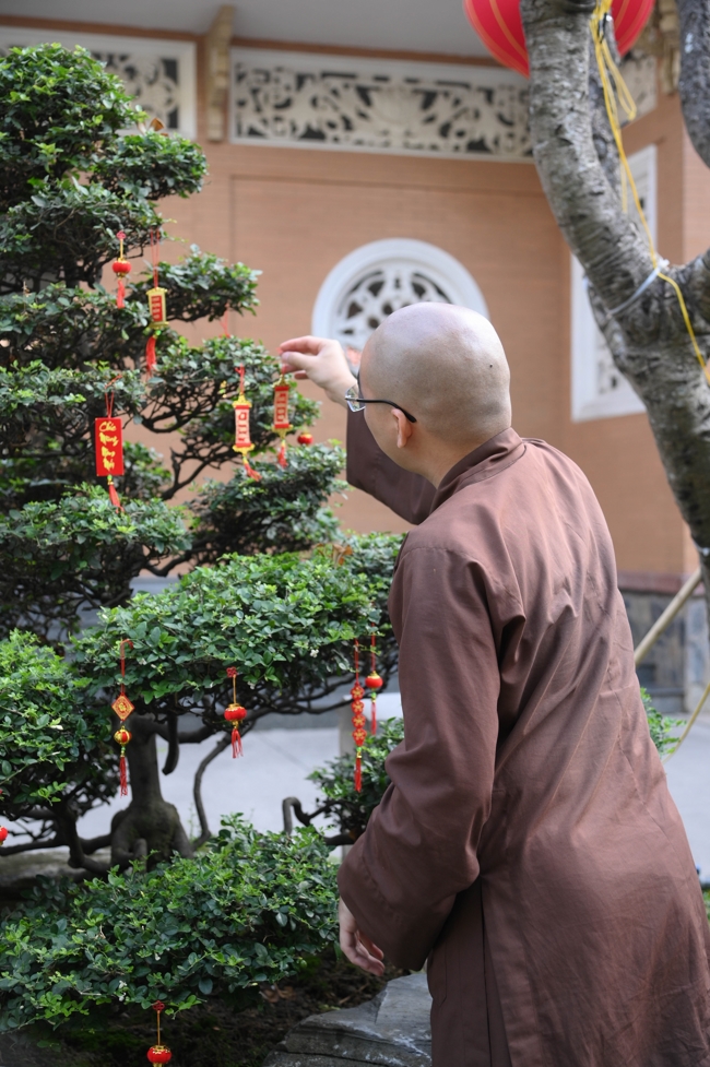 Công tác chuẩn bị đón Xuân Bính Ngọ 2026 (Phần 3)