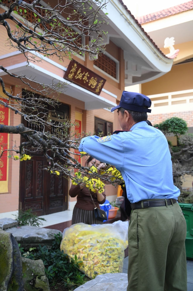 Công tác chuẩn bị đón Xuân Bính Ngọ 2026 (Phần 3)