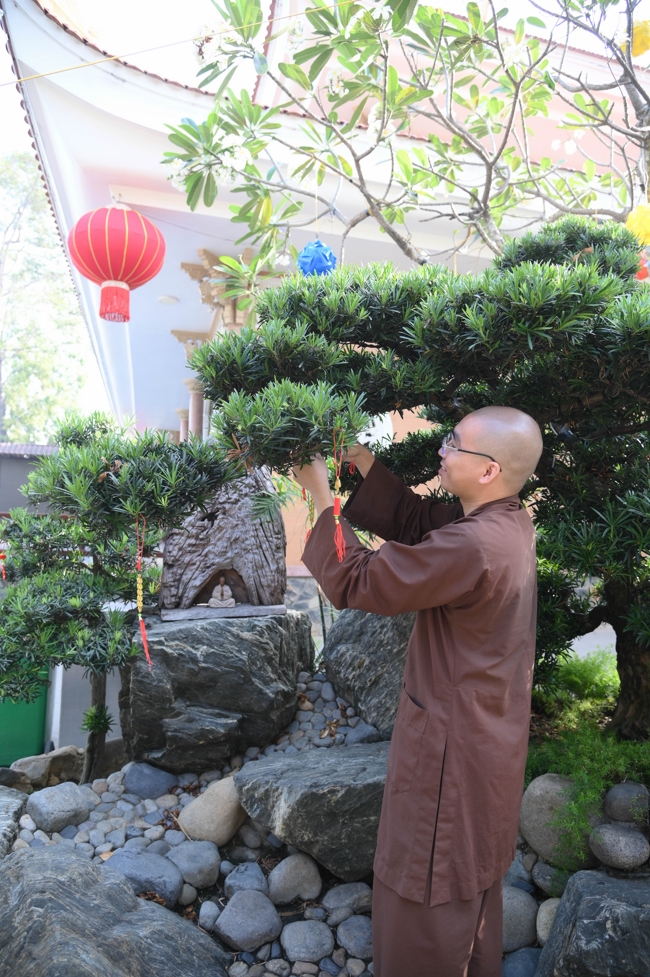 Công tác chuẩn bị đón Xuân Bính Ngọ 2026 (Phần 3)