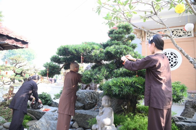 Công tác chuẩn bị đón Xuân Bính Ngọ 2026 (Phần 3)