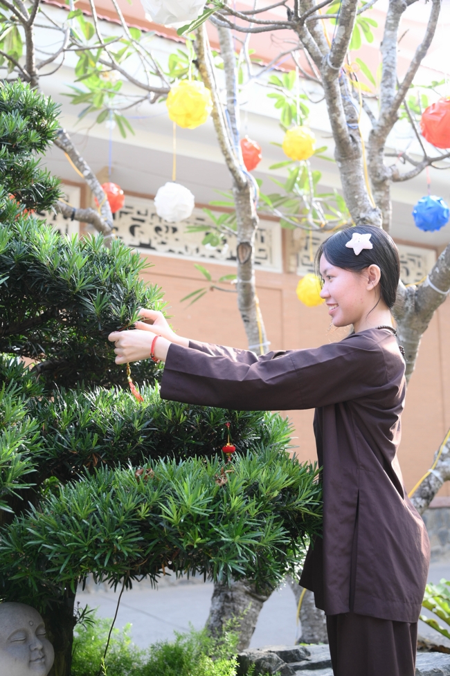 Công tác chuẩn bị đón Xuân Bính Ngọ 2026 (Phần 3)