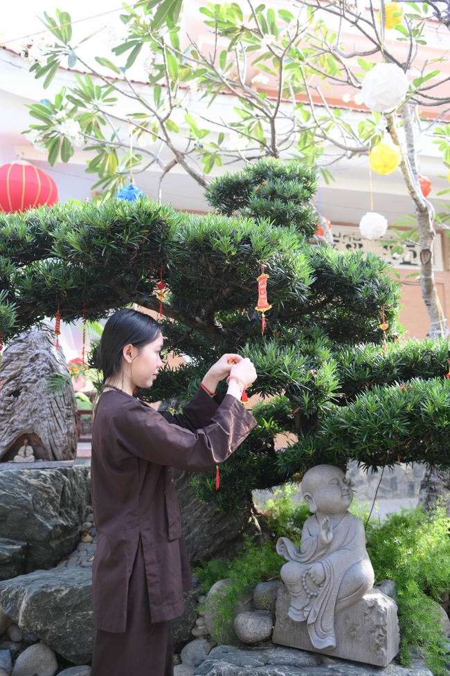 Công tác chuẩn bị đón Xuân Bính Ngọ 2026 (Phần 3)