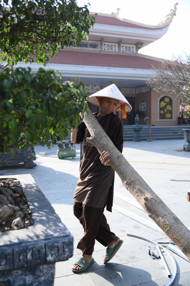Công tác chuẩn bị đón Xuân Bính Ngọ 2026 (Phần 3)