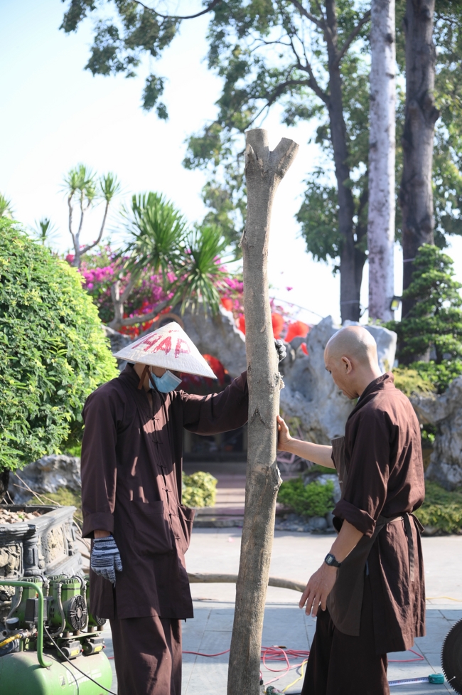 Công tác chuẩn bị đón Xuân Bính Ngọ 2026 (Phần 3)