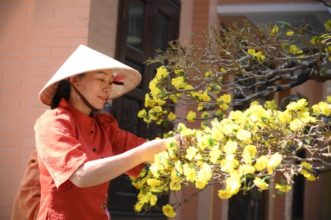 Công tác chuẩn bị đón Xuân Bính Ngọ 2026 (Phần 3)