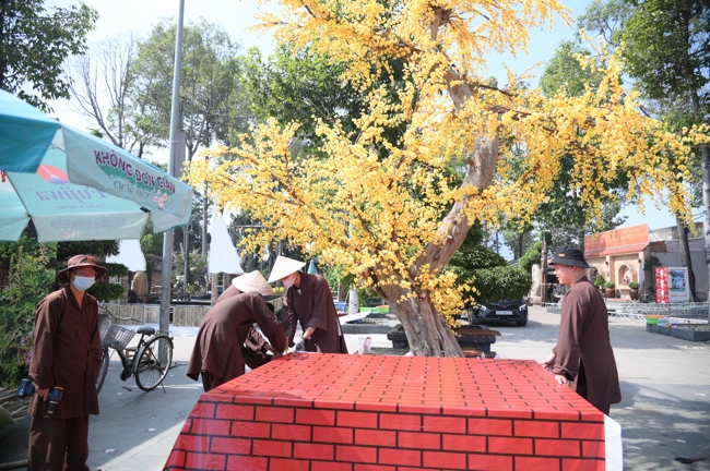 Công tác chuẩn bị đón Xuân Bính Ngọ 2026 (Phần 3)