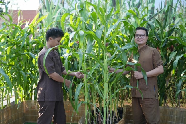 Công tác chuẩn bị đón Xuân Bính Ngọ 2026 (Phần 3)