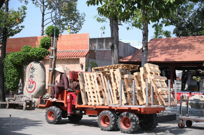 Công tác chuẩn bị đón Xuân Bính Ngọ 2026 (Phần 3)