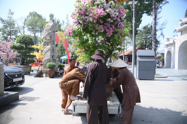 Công tác chuẩn bị đón Xuân Bính Ngọ 2026 (Phần 3)