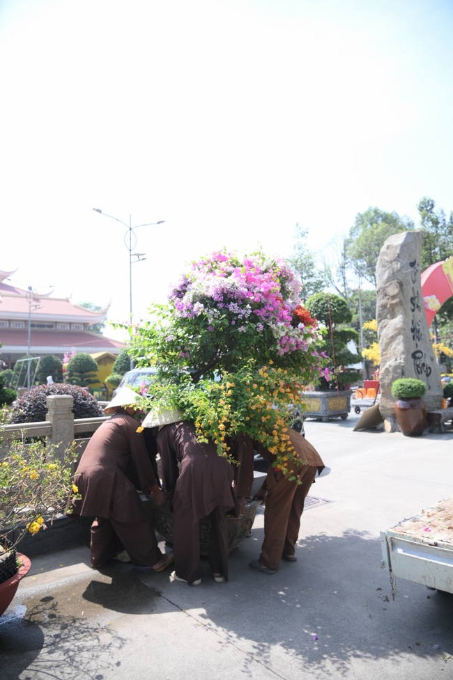 Công tác chuẩn bị đón Xuân Bính Ngọ 2026 (Phần 3)
