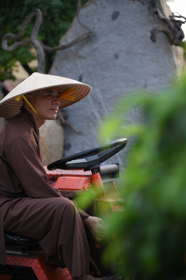 Công tác chuẩn bị đón Xuân Bính Ngọ 2026 (Phần 3)